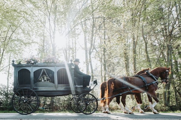 koets uitvaard paard zon Larz Kemper